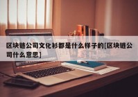 区块链公司文化衫都是什么样子的[区块链公司什么意思]