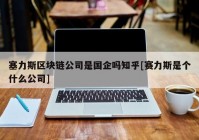 塞力斯区块链公司是国企吗知乎[赛力斯是个什么公司]